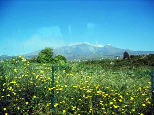 Etna-Wildflowers-050105-829a