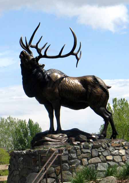 Elk Sculpture @ Leanin' Tree 050806-132p