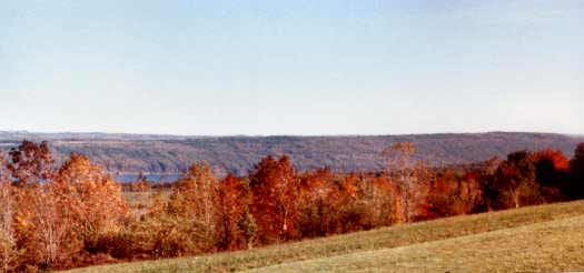Fall color in the Finger Lakes region