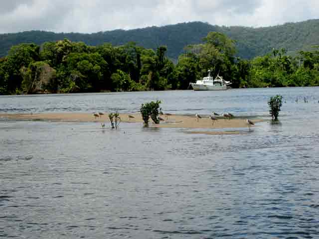 4601-Sandbar-Birds-DerelectBoat-071030-1021a