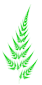 fern-frond