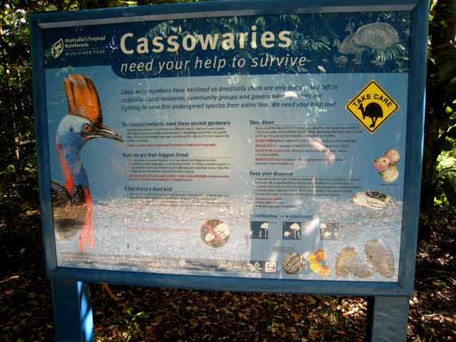 4754-CassowarySign-071030-313p