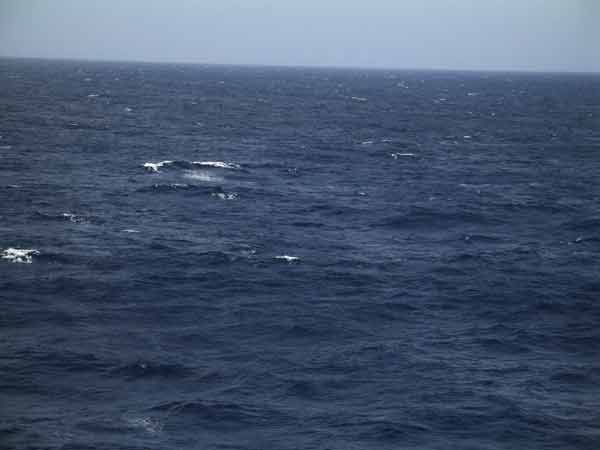HighSeas-041305-341p