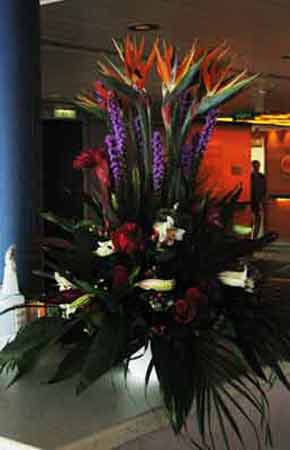 Flowers-BirdsOfParadise-041405-353p
