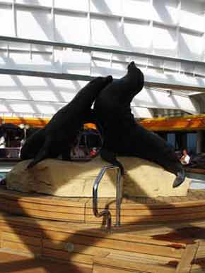 Sculpture-Seals-Lido-041305-953a