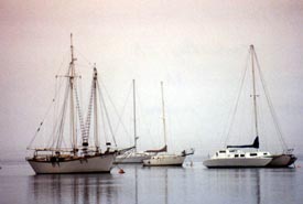 Sailboats on Morrow Bay