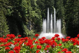 Fountains @ Butchart Gardens