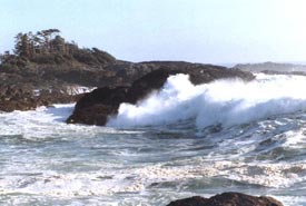 Storm on Tofino Beach