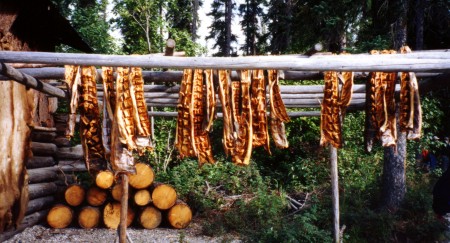 racks of salmon drying