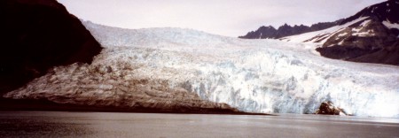 Aialik Glacier 2