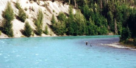 The beautiful Kenai River