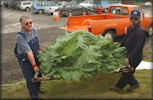 You need a helper to carry the lettuce to market!