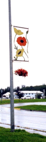 Visitor Center Flag