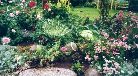 Garden at Plamer Visitor Center