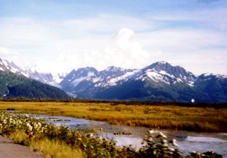 Looking southeast toward the Kenai Mountains