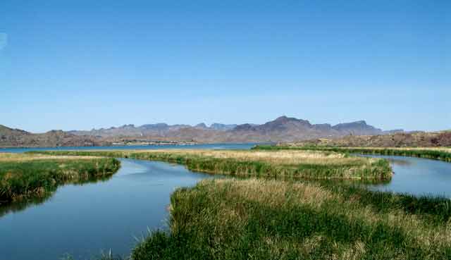 7047-WetlandsOnColorado-060206-1030a
