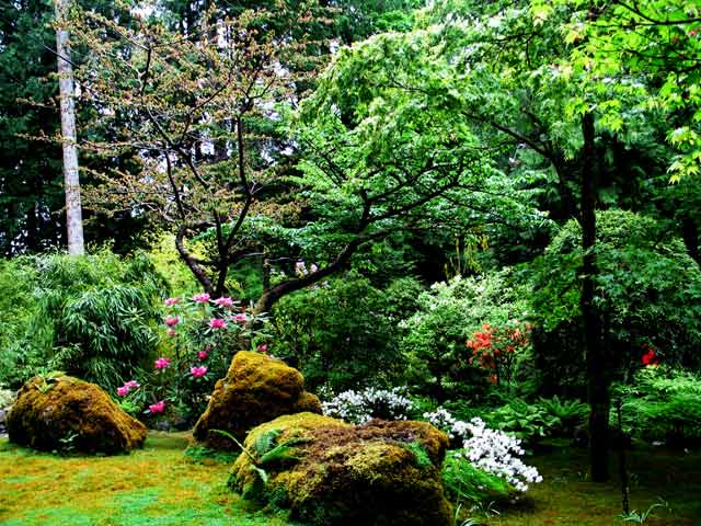 6127-MossyRocks-052306-1056a