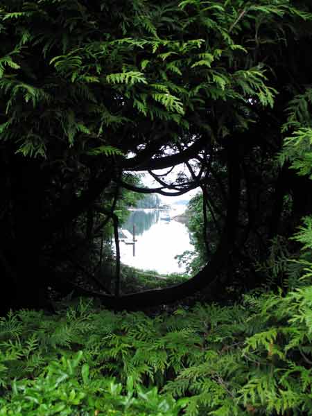 6133-ViewToButchartCove-052306-1101a