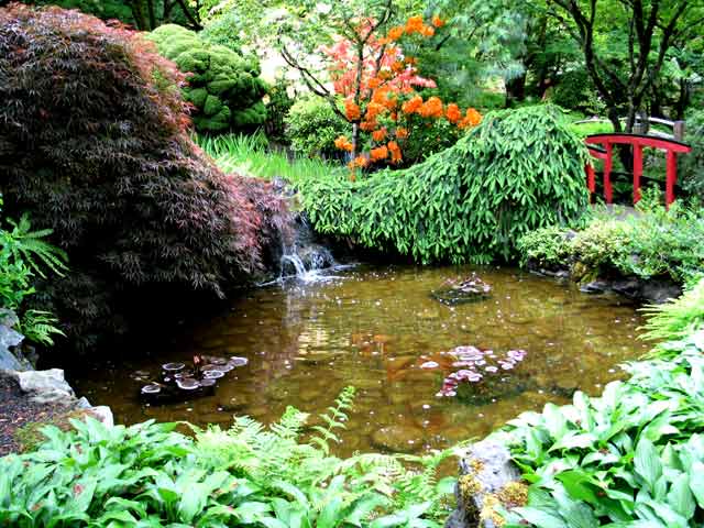 6134-pond-JapaneseGarden-052306-1102a