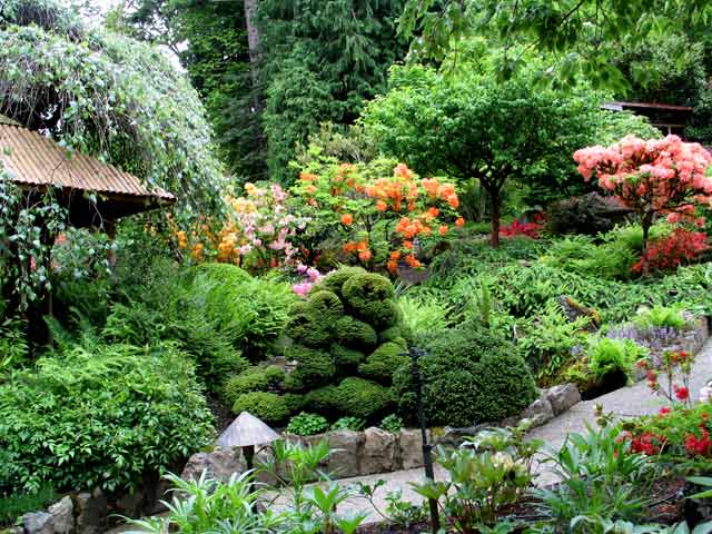 6135-JapaneseGarden-052306-1102a