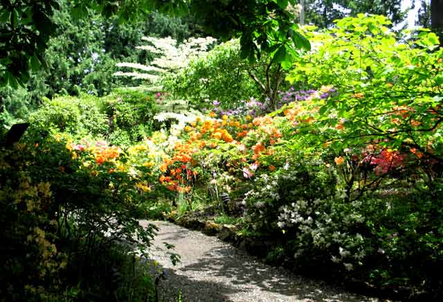 6143-ShadyPath-052306-1242p