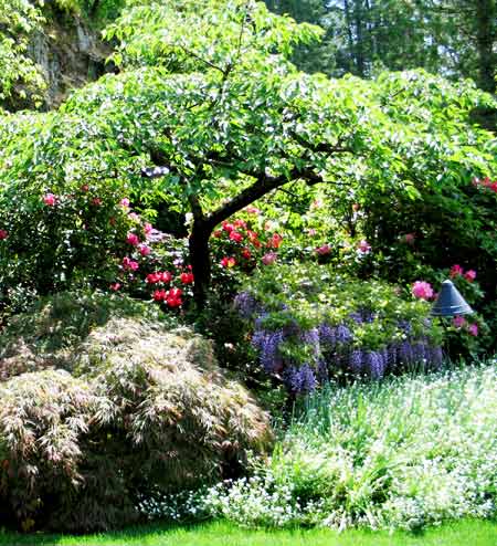 6156-BlueFlowers-052306-1251p