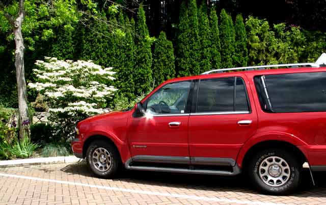 6200-BigRed-WhiteTree-052306-144p