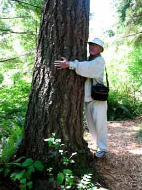 5965-OwenMeasuresBigTree-052006-1206p
