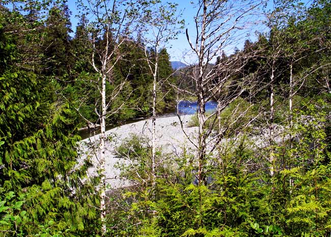 5494-WallyCreek-051606-1214p