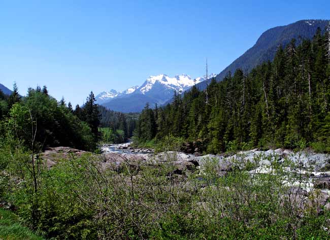 5497-WallyCreek-051606-1215p