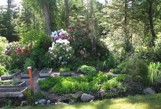 5715-Rhododendrons&herbFlats-061806-1035a
