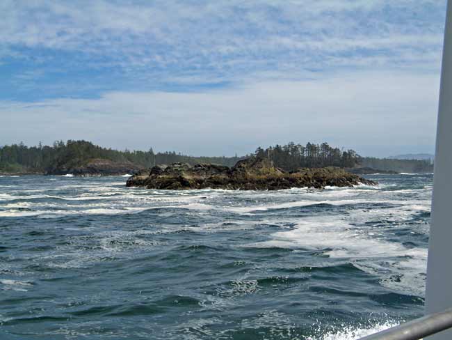 5641-WildCoastline-051706-211p
