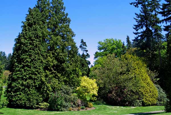 5357-StanleyPark-051506-1239p