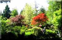 Campbell River Area Pictures