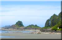 Tofino Pictures