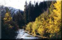 Click For Red River / Taos Area