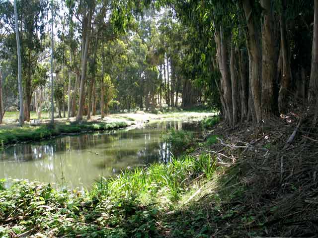 6880-NaturePreservePond-053106-1018a