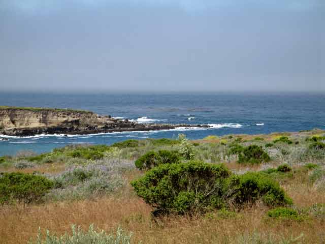 6898-LosOsos-cove-053106-1056