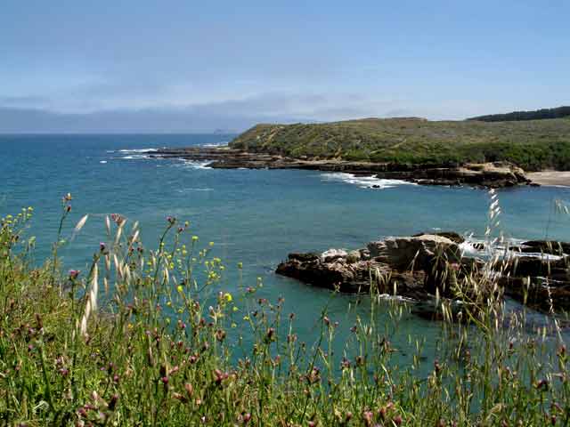 6916-RockyShore-053106-1112a