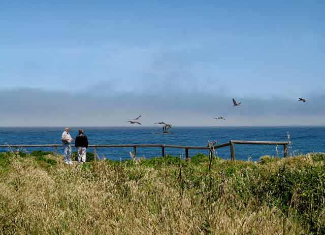 6942-Mark&OwenOnCliff-Birds-053106-1122a