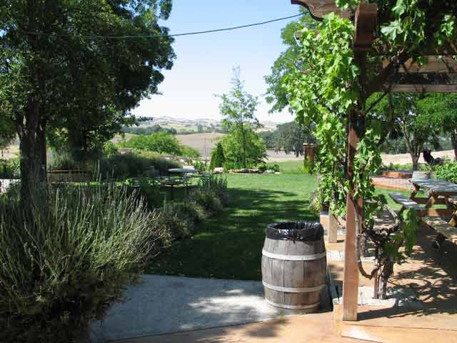 6991-WineryYard-053106-316p