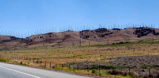 7012-WindmillFarmOnRidge-060106-1153a