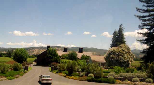 6722-Winery-052906-1219p