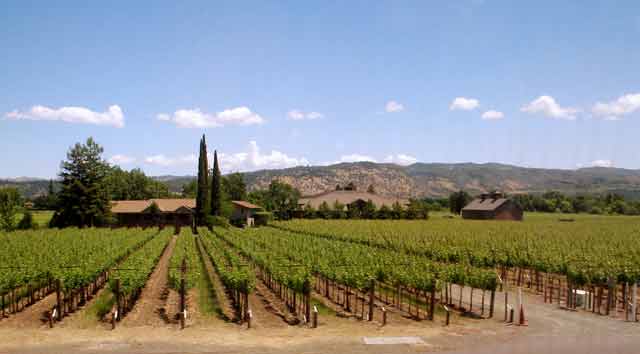 6723-Winery-052906-1219p