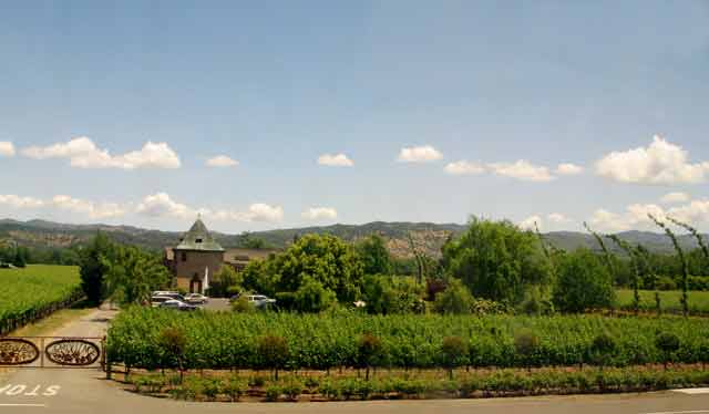 6726-PejuProvinceWinery-052906-1224p