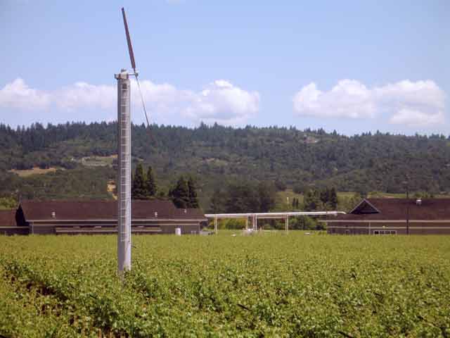 6733-Vineyard-052906-1241p