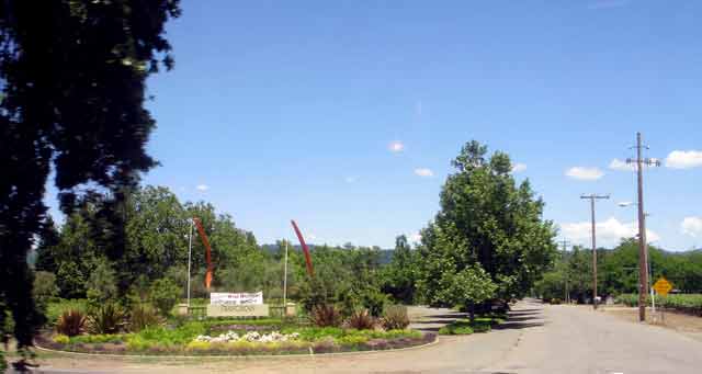 6757-FranciscanWinery-052906-133p