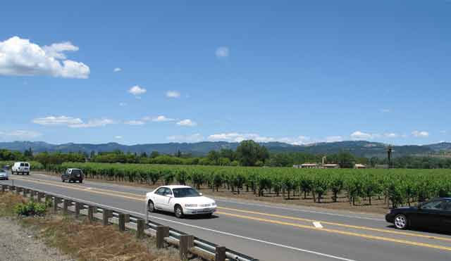 6760-Vineyards-052906-152p