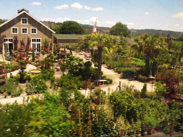 6741-Nursery-052906-119p