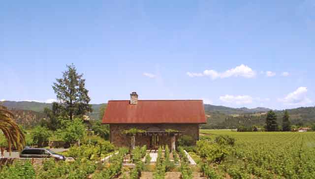 6744-NapaWinery-052906-123p